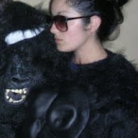 Gorilla