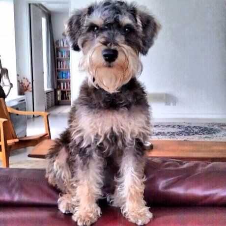 343b33b329dc9c7ab7dc9fed0d8cc570