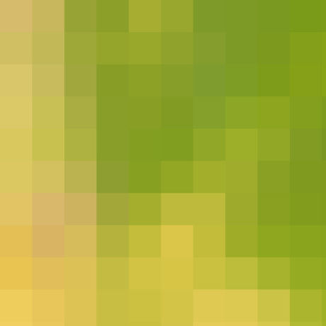 Pleaf pixelated cell size 75