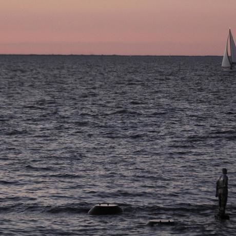 11141130 487741944724764 2787712201841404527 o