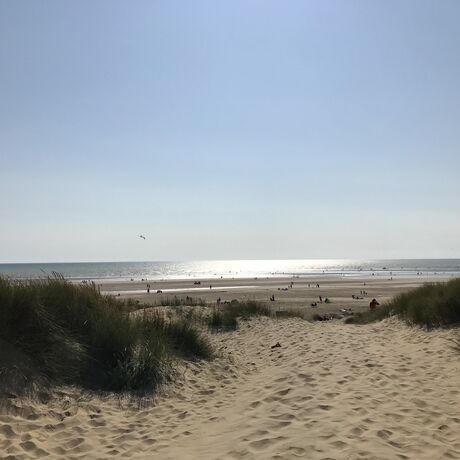 C5025495 a0c8 4f00 8a1b 9eb39c6578d3