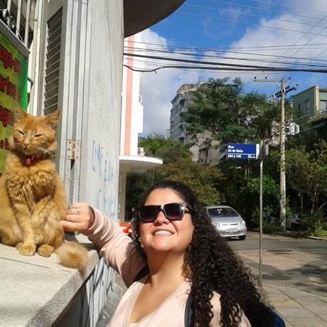 Gato gato gato