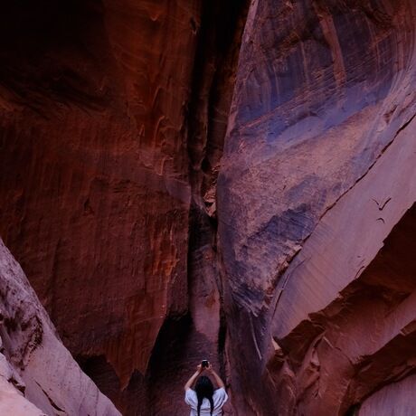 018235a9 04b1 4a88 8693 e19df81c7b8a