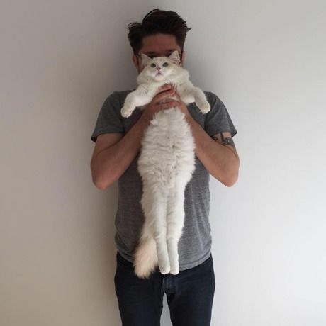 1378621 10152711208125976 5028003416770420512 n