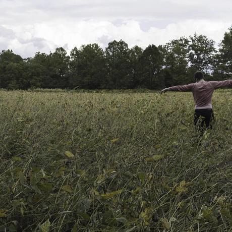 11221441 860501587373328 2575140275290075336 o