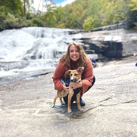 6d1e4a95 c926 4142 8802 4eeb74b55e0b