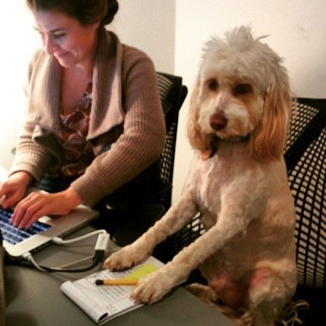 11067585 10103124243243373 1769990137771111778 n