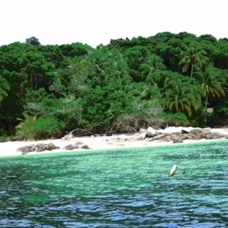 Gearing up for survivor   pulau hujung