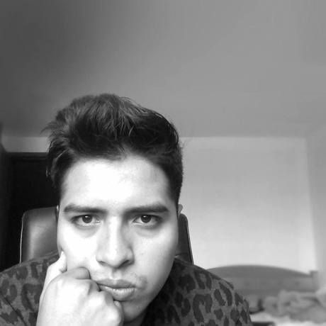 Perfil