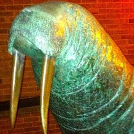 954ba161c231f52fe272927a4090ce33