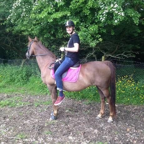 Paulonhorse