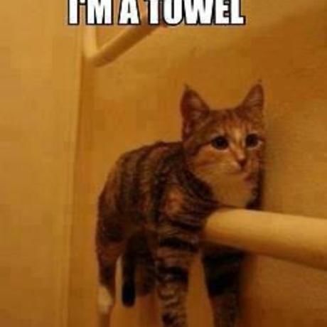 1593fdbb861c88b068417e69a4e439ce