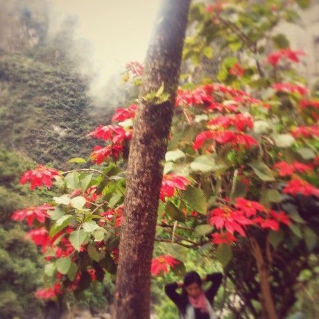 20150406 082306 2  1 