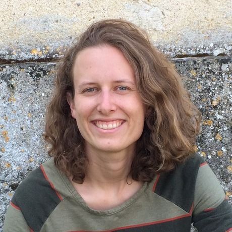 Headshot   france stone wall with moss
