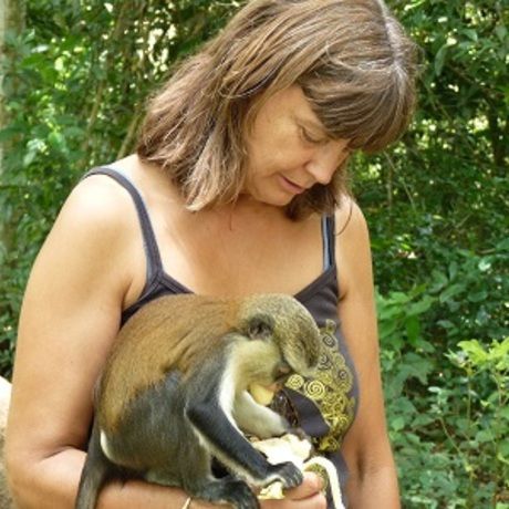 Small sara and monkey