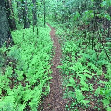 673dc05a 6d77 44fc b9bb 3d10cb4069a4