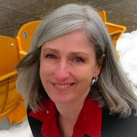 Lisa dehayes headshot