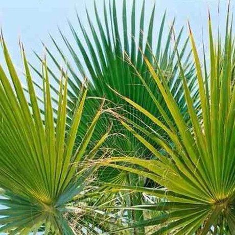 0c6ffa9c94f6ee6836b0af129fc39227