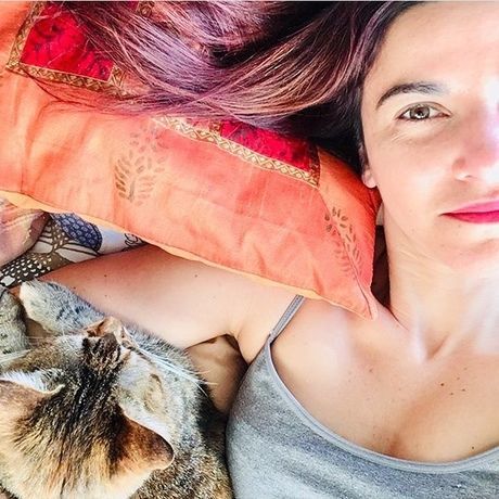 49472d7e 48c4 411e 85fd 44be53912b4d