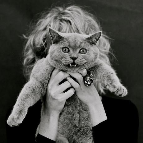 526278 10150650164430009 2075296405 n