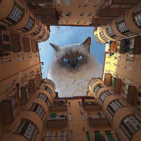 Leo sky