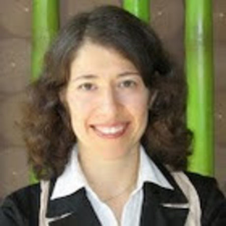 Isabel pereira rodrigues