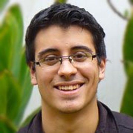 Profile professional