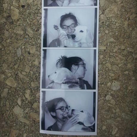 14832 10152423407124553 8253176774287896658 n