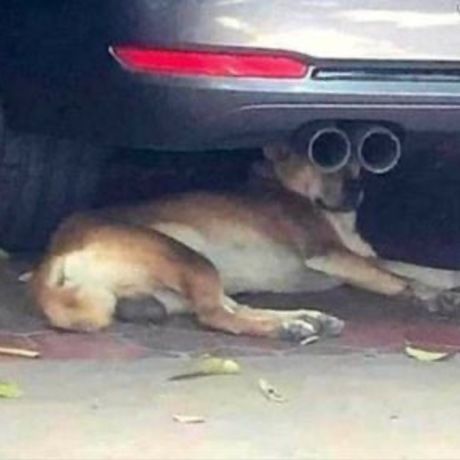 F722f16d b79e 464b bbb9 d9b66d249760