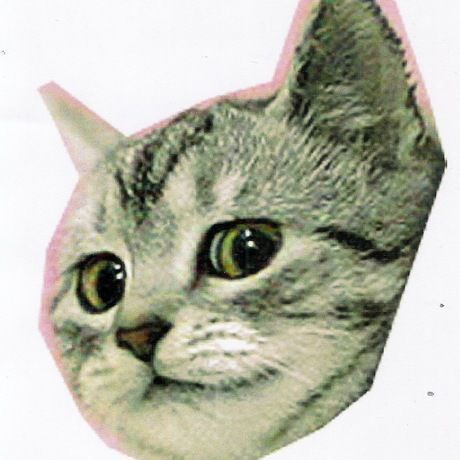 Picture 22