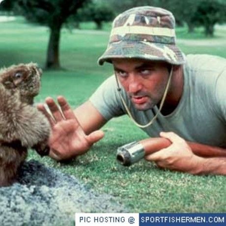 Bill murray