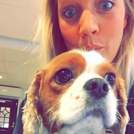 10359238 10156090999405386 3018634419982726456 n