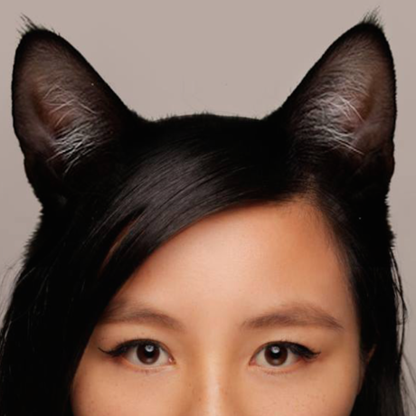 Screen shot 2015 10 19 at 5.16.52 pm