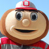 Small brutus buckeye