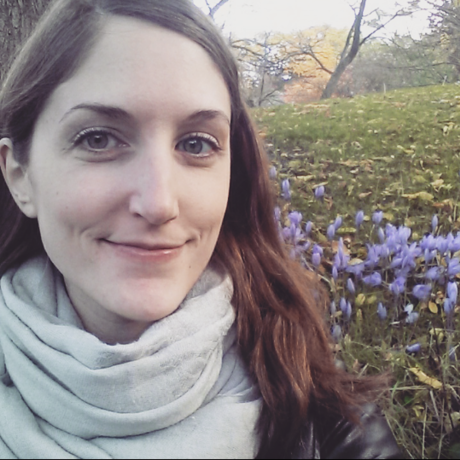 Screenshot 2015 10 27 15 22 42 1