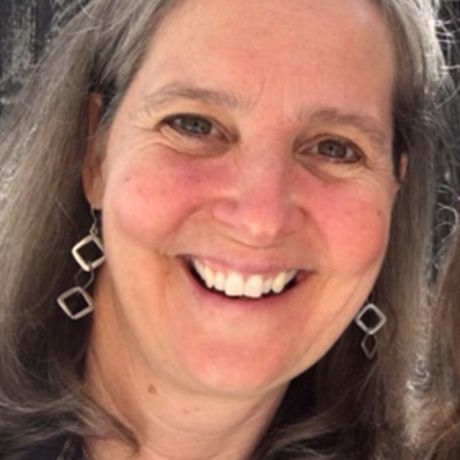 Pic debbiesipowiczheadshot2016