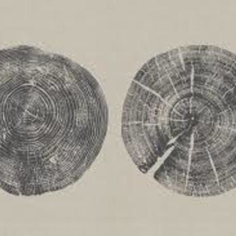 Images 1
