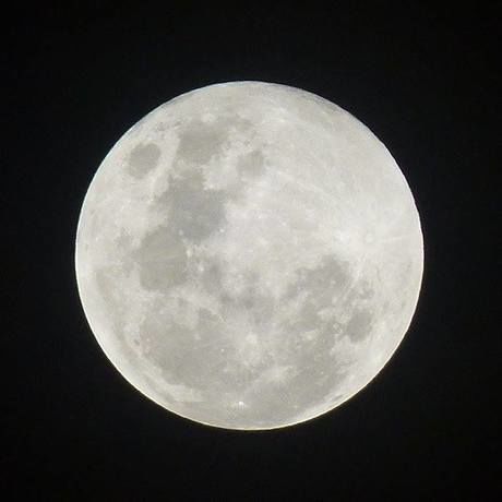 10409181 10204020508166431 5761370759880543890 n