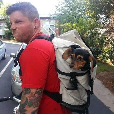 10488583 309274729245997 206786406 n