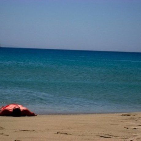 N3430757 38971040 2437