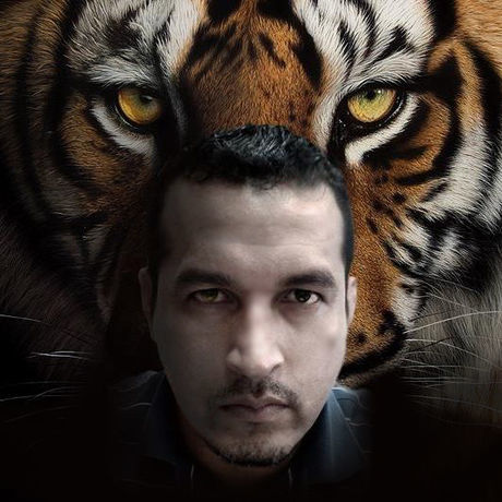 Tigerae 2