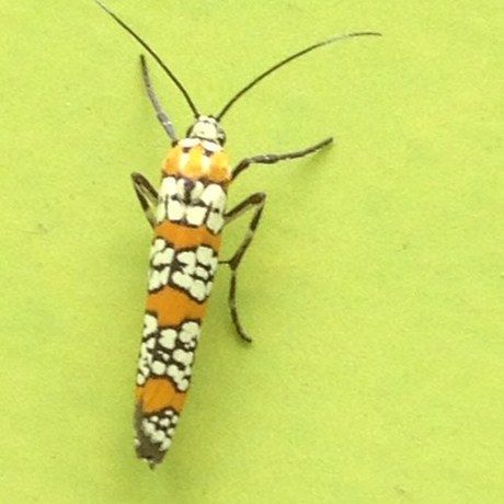 E039897bffb3d8e430abfab16c922e6a