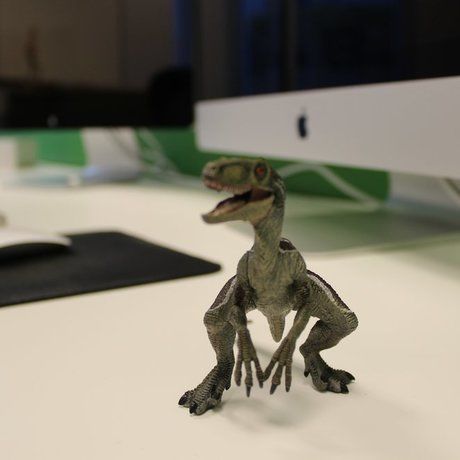 Raptor websites phoenix seo services