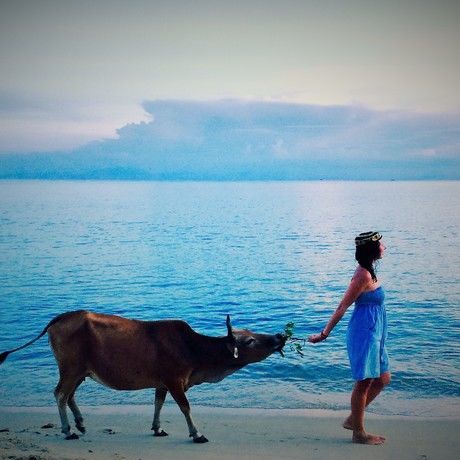 A sea cow treatment  vietnam