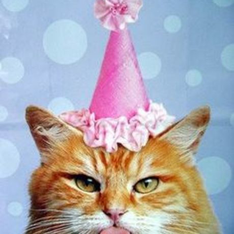 19d41038f0db417d42ede11ececeb56b