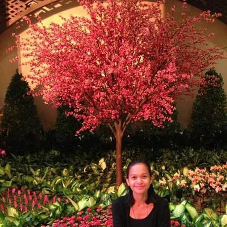 10291043 10152330509799035 8686845529336488642 n