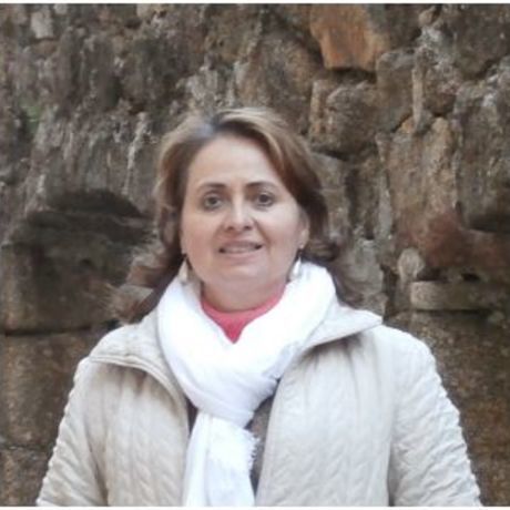 Begonia dic2015 castillo manzanares