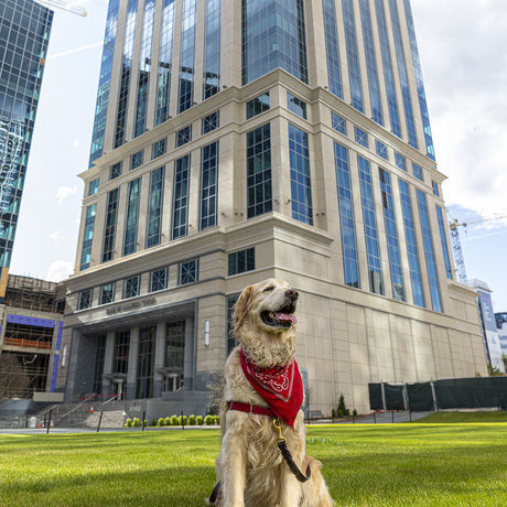 0d043031 23ed 427c ac6c 3a273b7b8abd