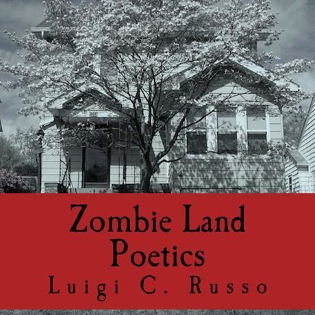 Zombie land poetics cover for kindle