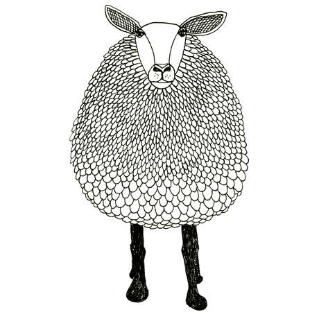 Sheep